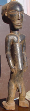 Anctre masculin profil